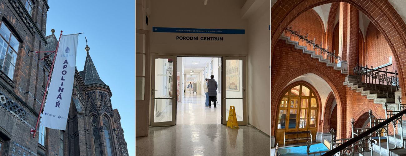 porodnice u apolinare